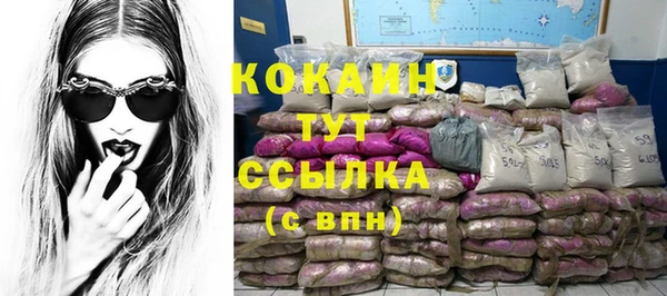 крисы Алексин