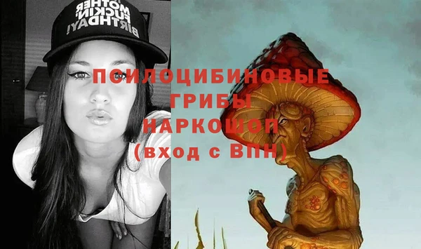 крисы Алексин