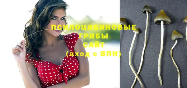 крисы Алексин