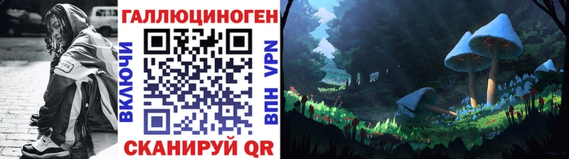 Купить где  Тамбов  Галлюциногенные грибы Psilocybe 